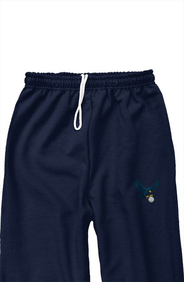 Sweatpants Falcons Volleyball (Print)(Blue, Black)