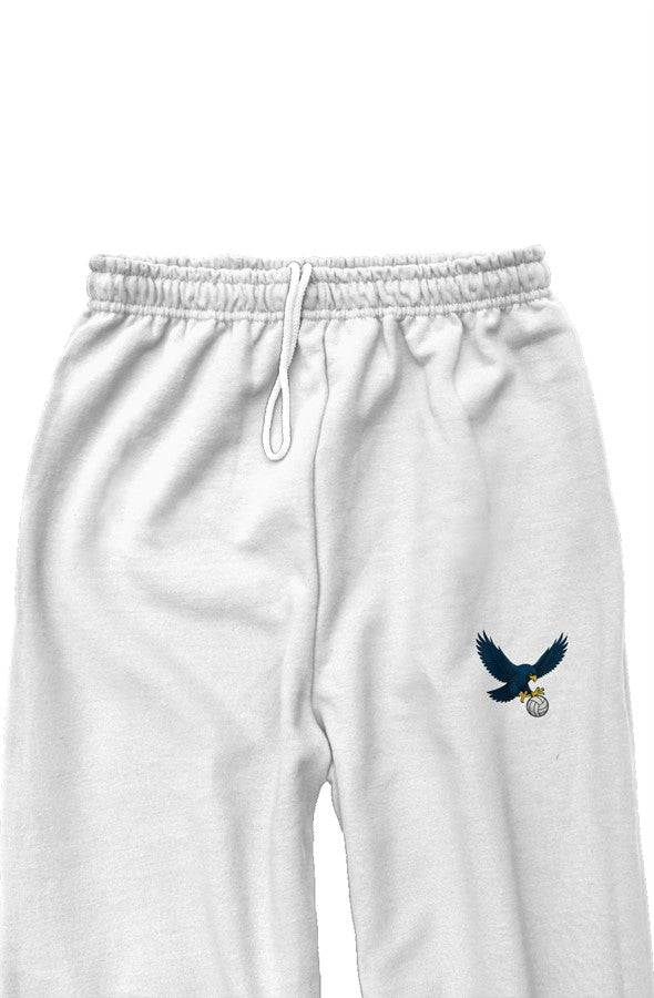 Sweatpants Falcons Volleyball (Print)(Blue, Black)