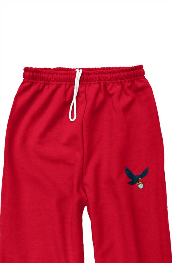 Sweatpants Falcons Volleyball (Embroidered)(Blue, 